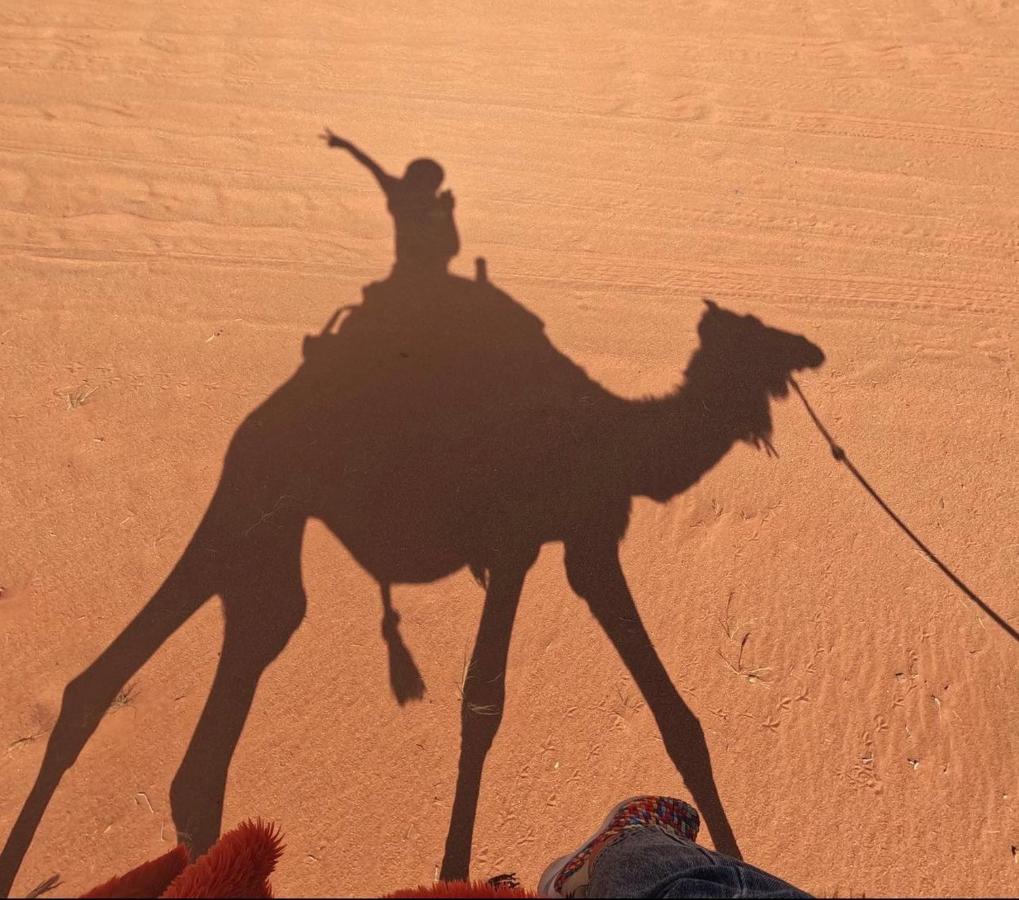 Wadi Rum Camp Ngoại thất bức ảnh